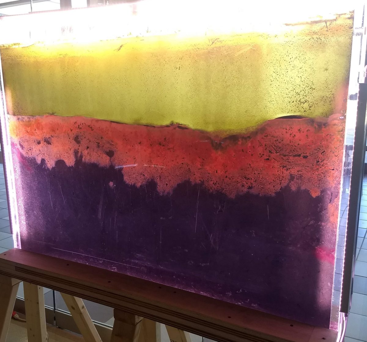 Image of a Winogradsky column created for the exhibit Microbial Masterpieces - awarded a 2020 Experiments In Translation Grant