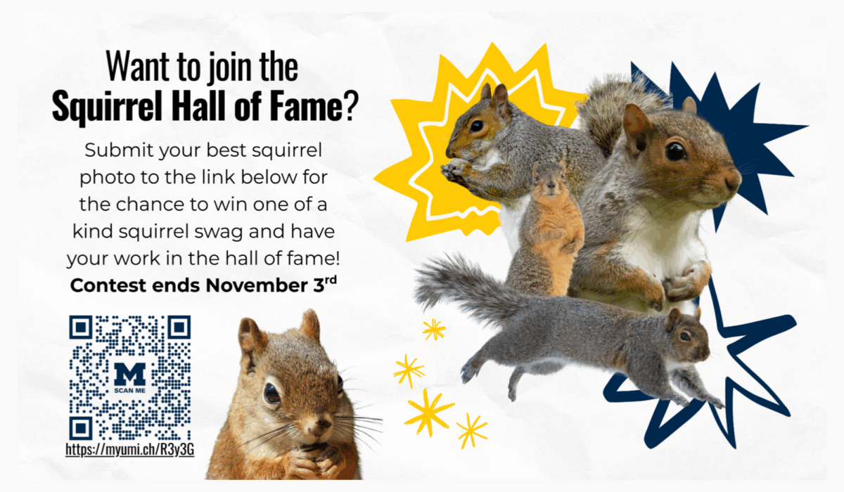Squirrels with blue & yellow stars on white background and QR code.