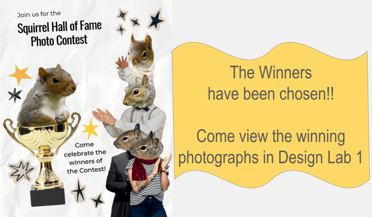 Applauding squirrels and text.