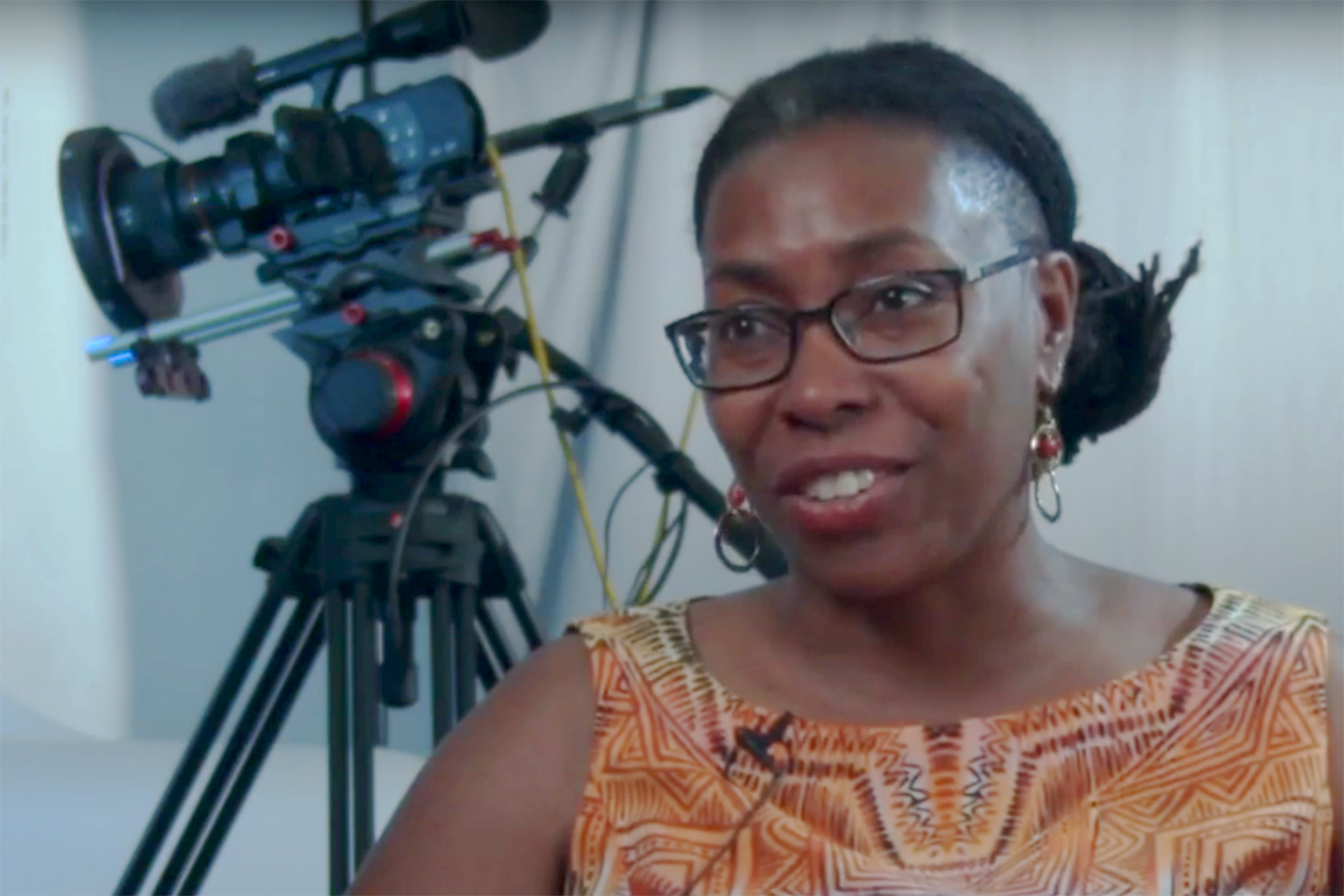 Image from Professor Robin Means Coleman's Interview