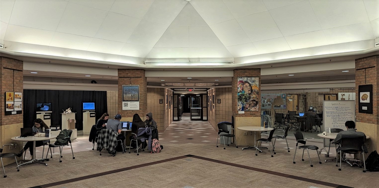 Photo of the Gallery and art displayed in the Central Collaboration Area of the Duderstadt Center