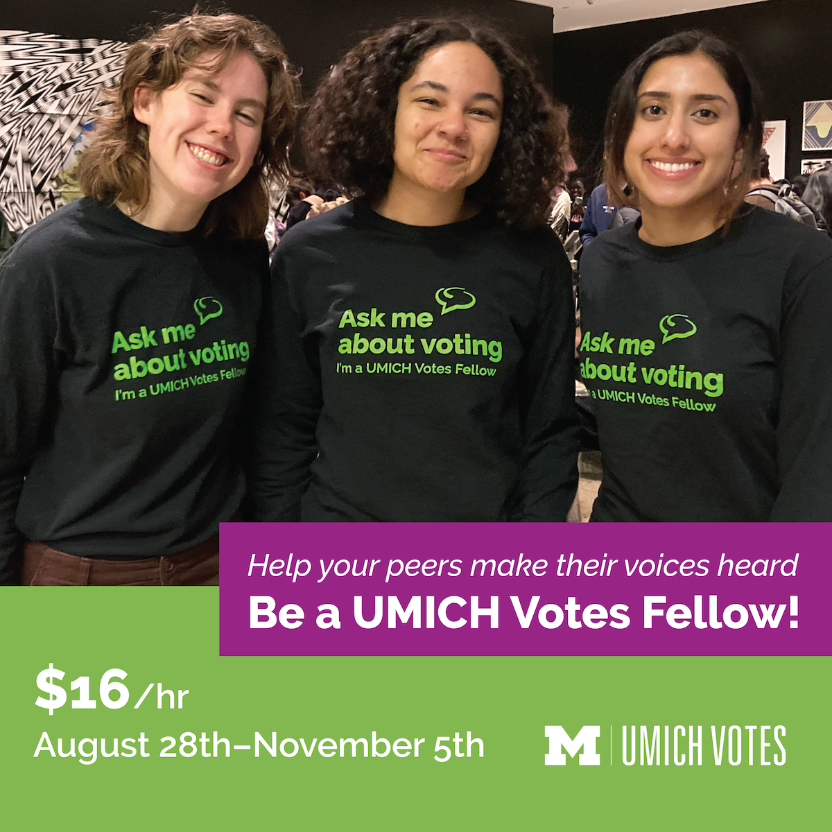 Umich Vote Fellows graphic