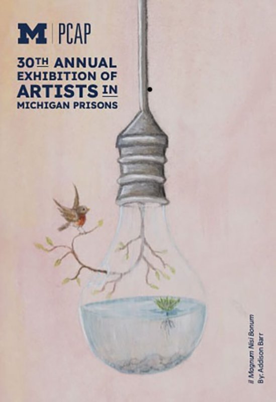 Drawing shows a hanging light bulb containing water and a small plant, with a branch and a bird nearby with text.