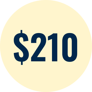 $210 donation amount displayed in a pale yellow circle.