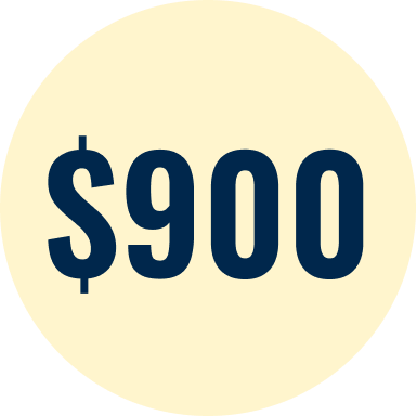 $900 donation amount displayed in a pale yellow circle.