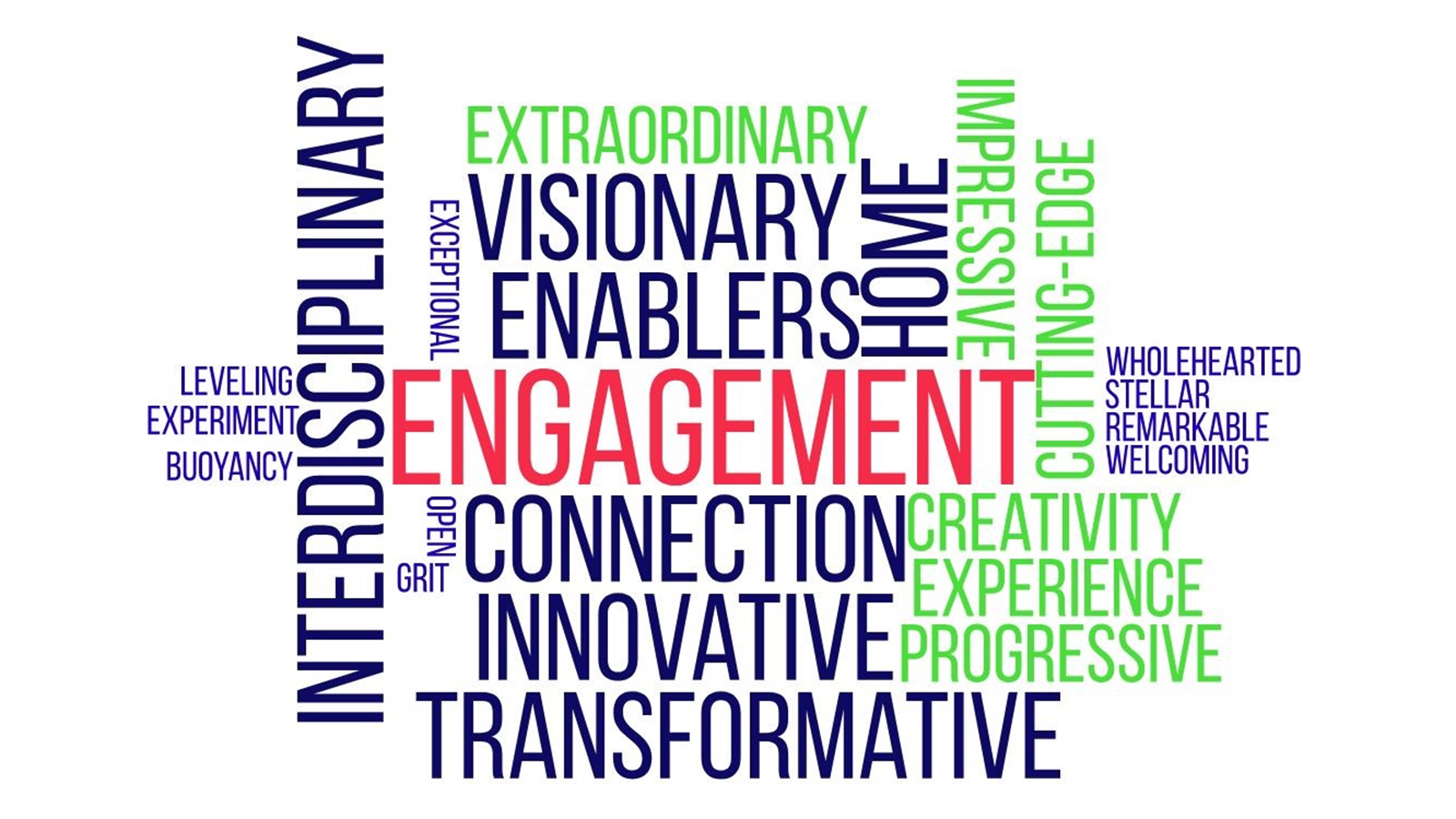 A graphic word cloud that describe the vision and qualities the staff of the DMC aspire to foster: engagement, connection, visionary, creative, experience and much more