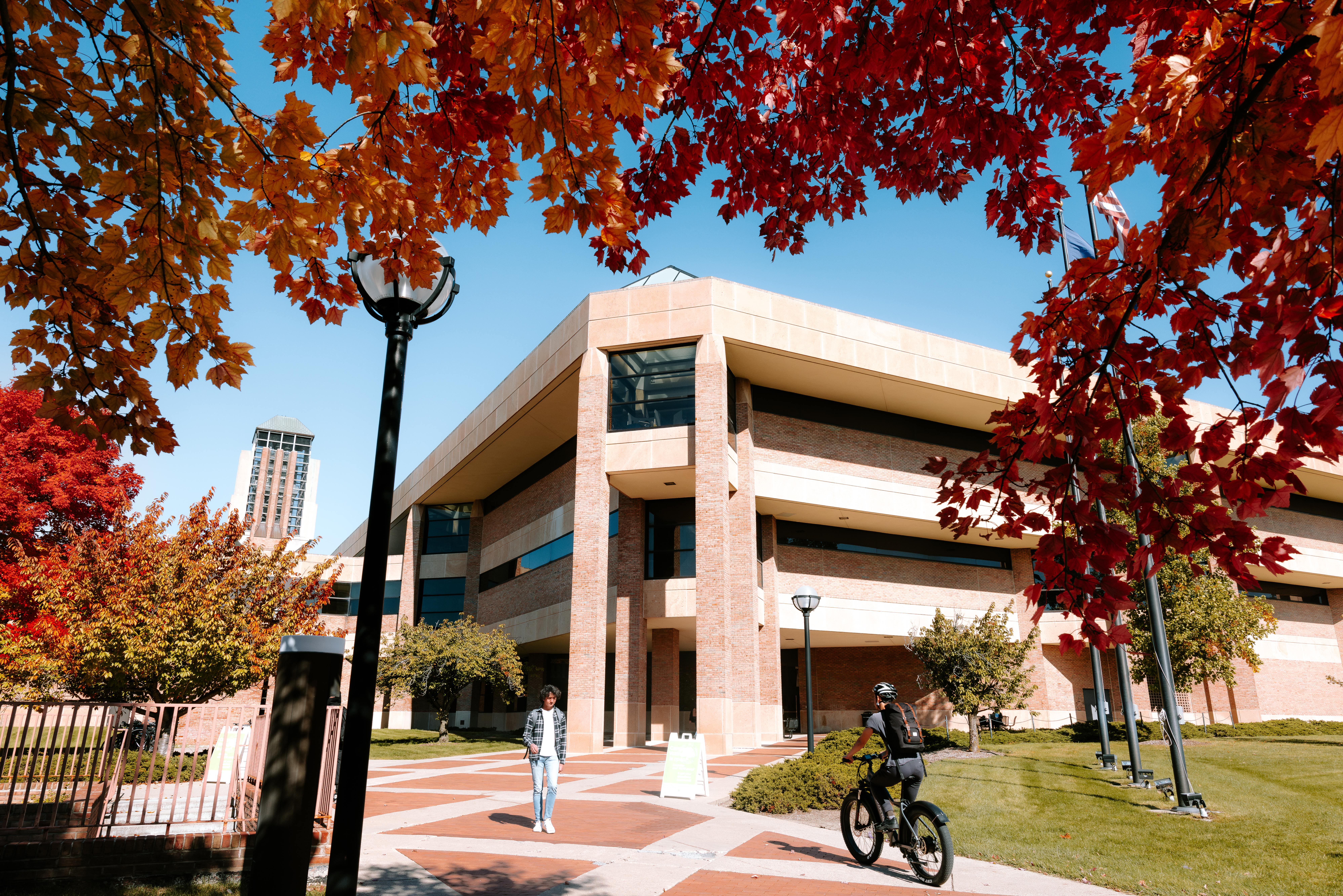 Red leaves on a tree on north campus with Duderstadt Center in the background