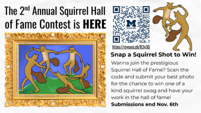 Promotional graphic for the second annual Squirrel Hall of Fame photo contest.